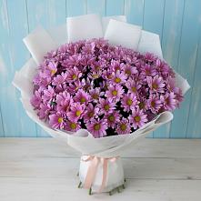 Букет цветов из:  Хризантемы в Карабаш Республики Татарстан