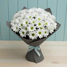 Букет цветов из:  Хризантемы #REPLACE_PRED# Карабаш Республики Татарстан