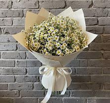 Букет цветов из:  Ромашки в Карабаш Республики Татарстан
