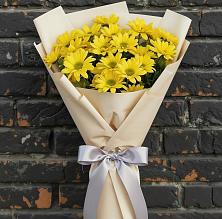 Букет цветов из:  Хризантемы в Карабаш Республики Татарстан
