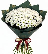 Букет цветов из:  Хризантемы в Карабаш Республики Татарстан