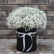 Цветочная композиция из Гипсофила в шляпной коробке в Карабаш Республики Татарстан