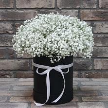 Цветочная композиция из Гипсофила в шляпной коробке в Карабаш Республики Татарстан