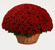 Премиум букет из: Розы в Карабаш Республики Татарстан