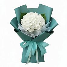 Букет цветов из:  Гортензия #REPLACE_PRED# Карабаш Республики Татарстан
